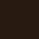 Dark Bronze Image